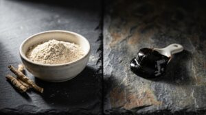 Read more about the article Ashwagandha vs. Shilajit: Which is Better for Your Needs?